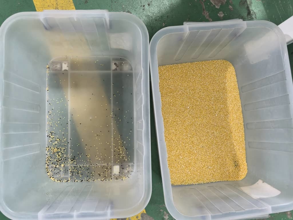 Wenyao 500-1000kg/h Mini 32 Channels Grain Optical Sorters Corn Grits White Black Sesame Color Sorting Machine