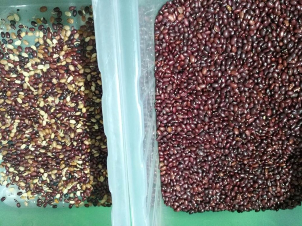 Wenyao High Sorting Accuracy Intelligent Kidney Bean Red Bean Optical Color Sorter Machine