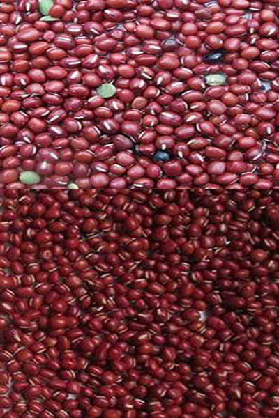 Wenyao High Sorting Accuracy Intelligent Kidney Bean Red Bean Optical Color Sorter Machine