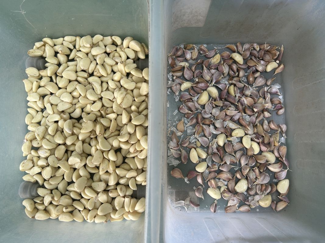 WENYAO All Metal Intelligent Magnetic Separator Secondary Screening Metal Sorting Solutions Wasted Metal Color Sorter