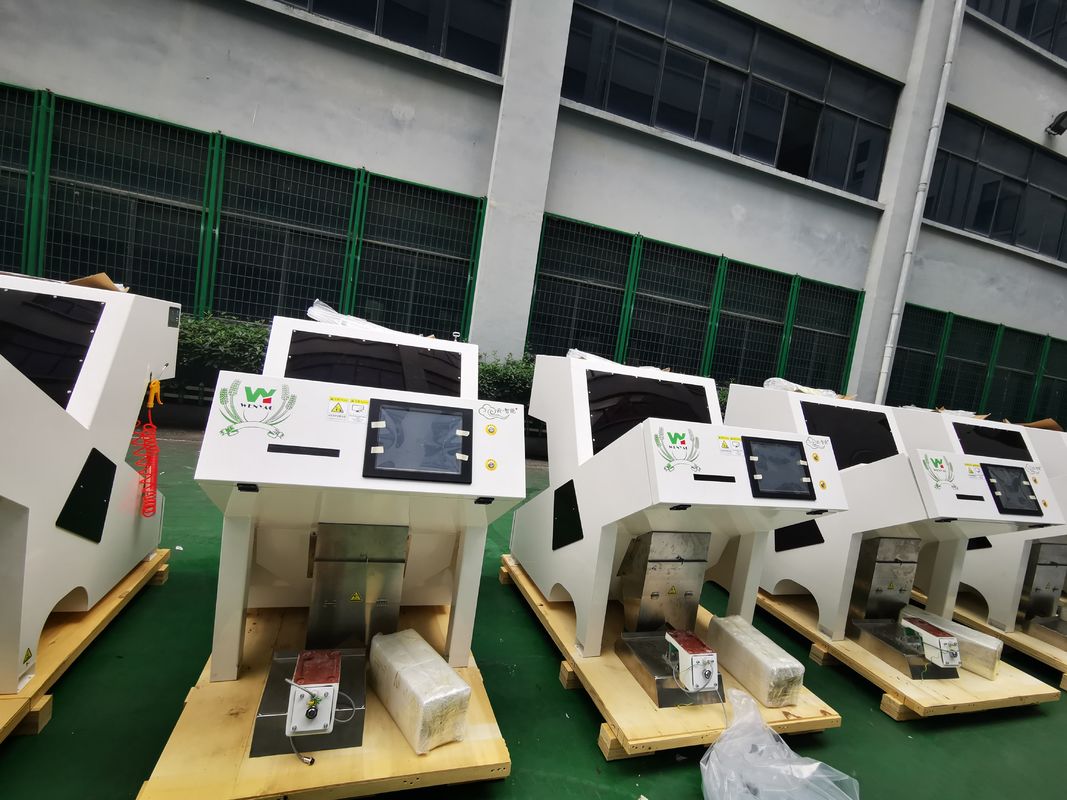 WENYAO 1 チャート 光学色分別機 脱水した乾燥栗子色分別機