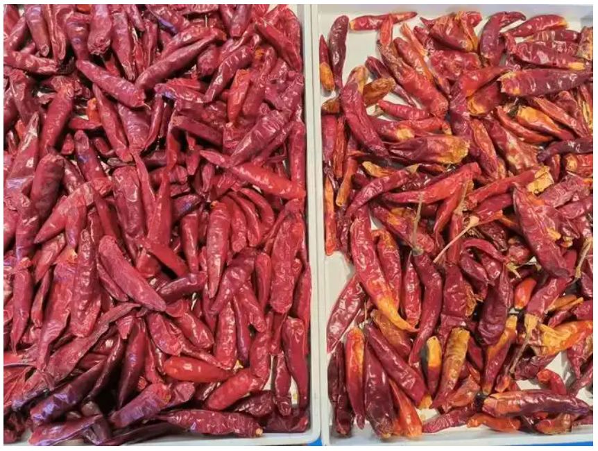 良心価格 光学式インテリジェントビジョン 唐辛子選別機 鉱物 炭燃料 色彩選別機