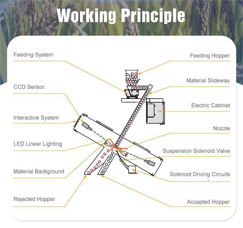 WENYAO 精密選別 米選別作業用多色検出 色彩選別機 蒸し米 長粒種