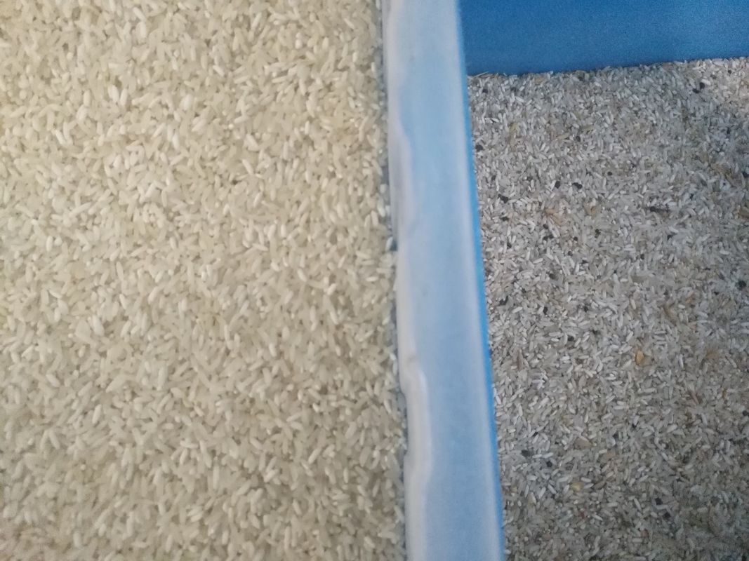 多目的CCDの自動米色の選別機の穀物AI分類機械