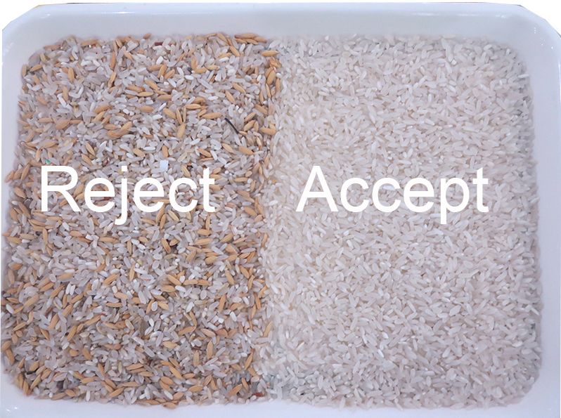 WENYAO Rice Sorting Machine AI Intelligent Digital CCD Camera Fine Screening Color Sorter for Parboiled Rice Flour Mill 99.99%