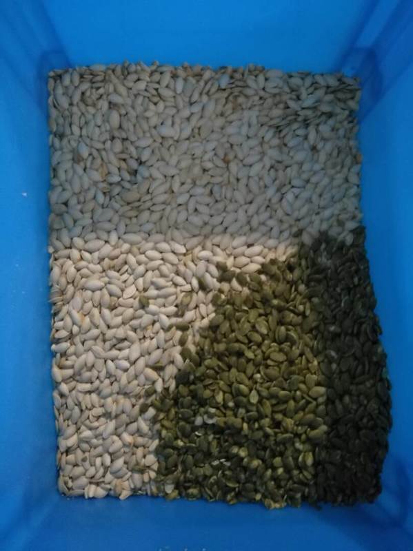 Wenyao Wifi Remote Control Sunflower Seed Pumpkin Seed Color Sorter with 2 Years Warranty and Solenoid Valve for Industrial Processing