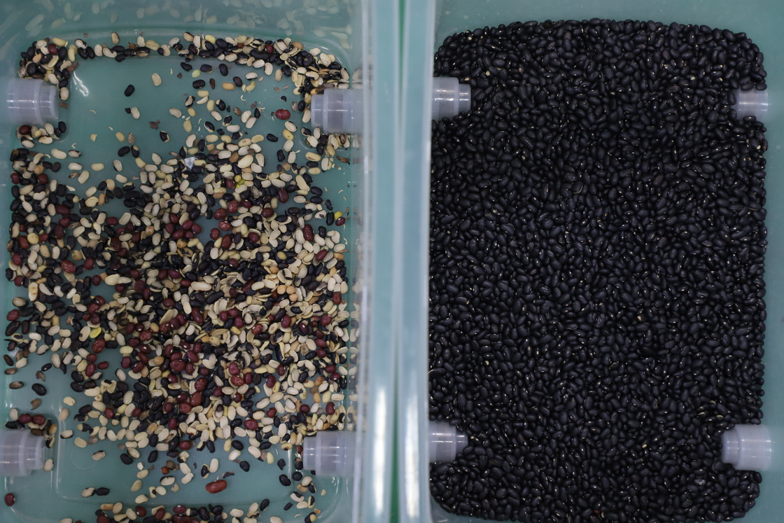 WENYAO High Quality Optical Beans Color Sorter for Soyeben Black White Beans Sorting