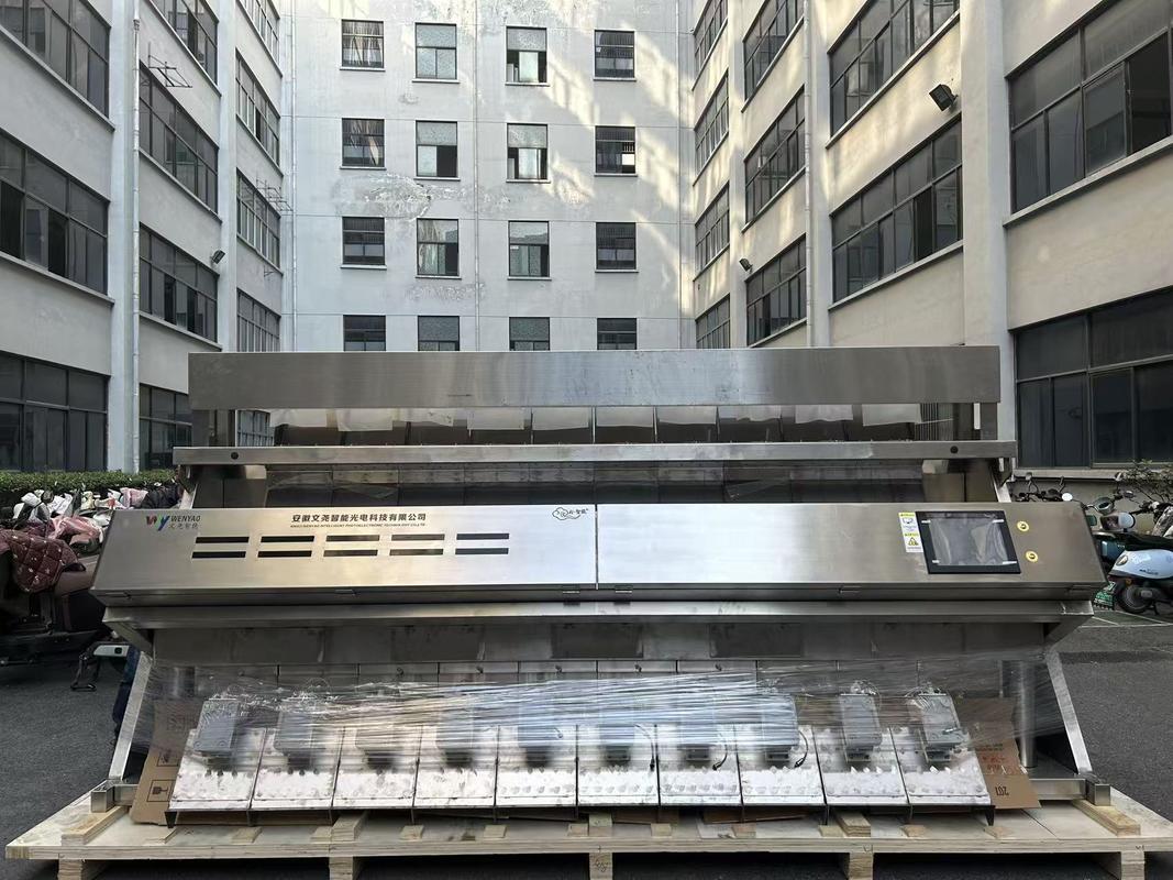 Large Output 304ss 316 Stainless Steel Intelligent Color Sorter Machine for Salt