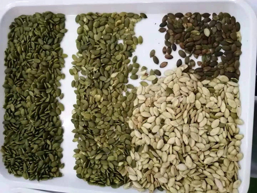 Parboiled Rice Color Sorting Machine 5 Chutes  Color Sorter  Wheat Color Sorter