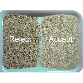 クルミ 豆 色選別機 アーモンド ピーナッツ 分離機 悪いカビを取り除く