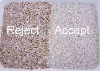 イエローミレットパルボイルド米カラー選別機 マルチシュート カラーソーター 小麦カラーソーター