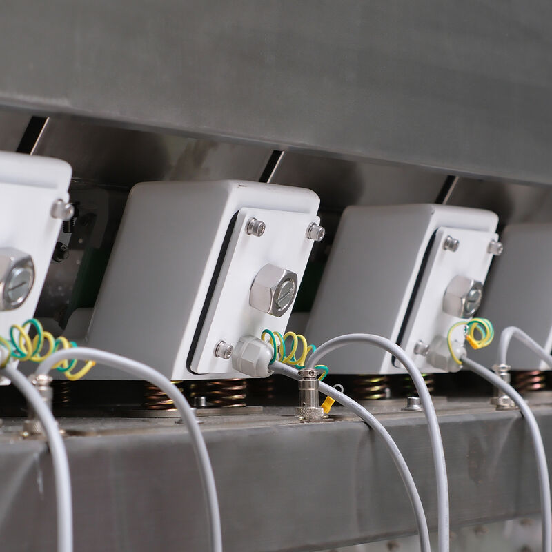 ピーナッツ 杏仁 ウォールナッツ 自動色分け機 高精度な色分け機