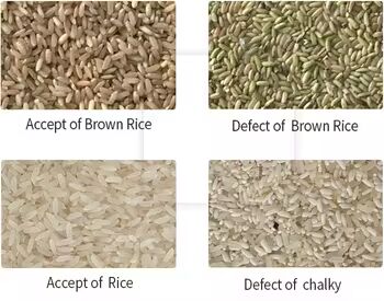 Optical Color Sorter Hazelnut Sorting Machine Multi-functional Color Sorter Machine for Sesame Flax Seed Rice 
