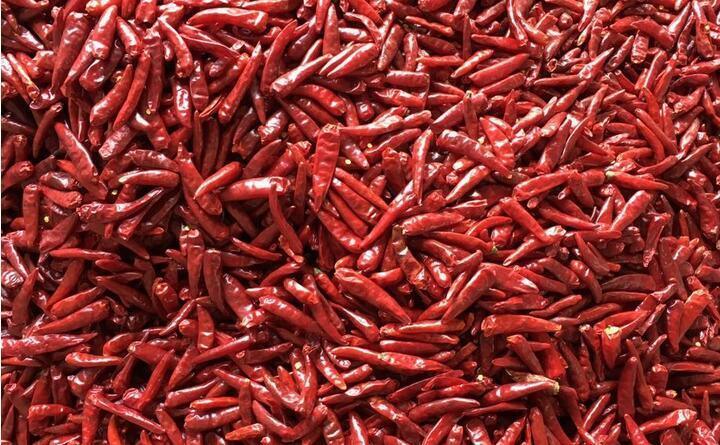 ウェンヤオ重用 インテリジェント カラーソート機 チョコペッパー ガーリックソート用 RGB CCD カメラとWi-Fi リモコン付き 1000-1500 kg/h出力