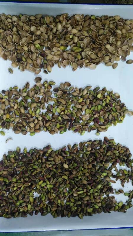 東芝CCDセンサー搭載のウェンヤオ自動ナッツ選別機、ステンレス304食品グレードホッパーとWi-Fiリモコンによる高効率なナッツ選別