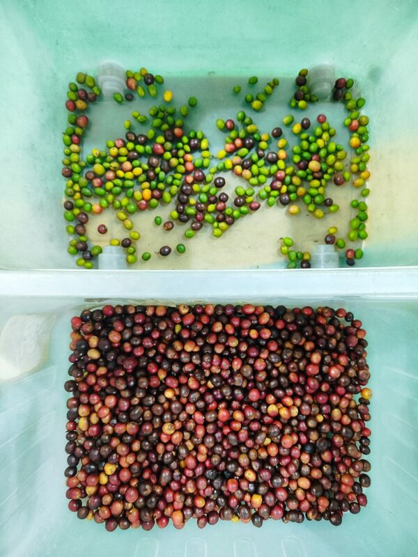 コンパクトベルト カラーソルター TOSHIBA センサーとWiFi リモコン コントロール