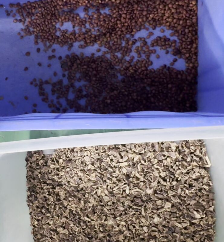 Wenyao 2025 高精度 最新インテリジェントダブルベルトカラーソープポッドカラー選別機 WIFIリモコン付き