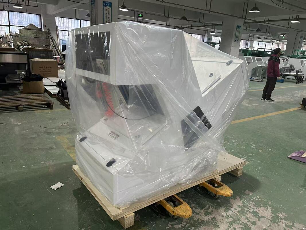 WENYAO 1 チャート 光学色分別機 脱水した乾燥栗子色分別機