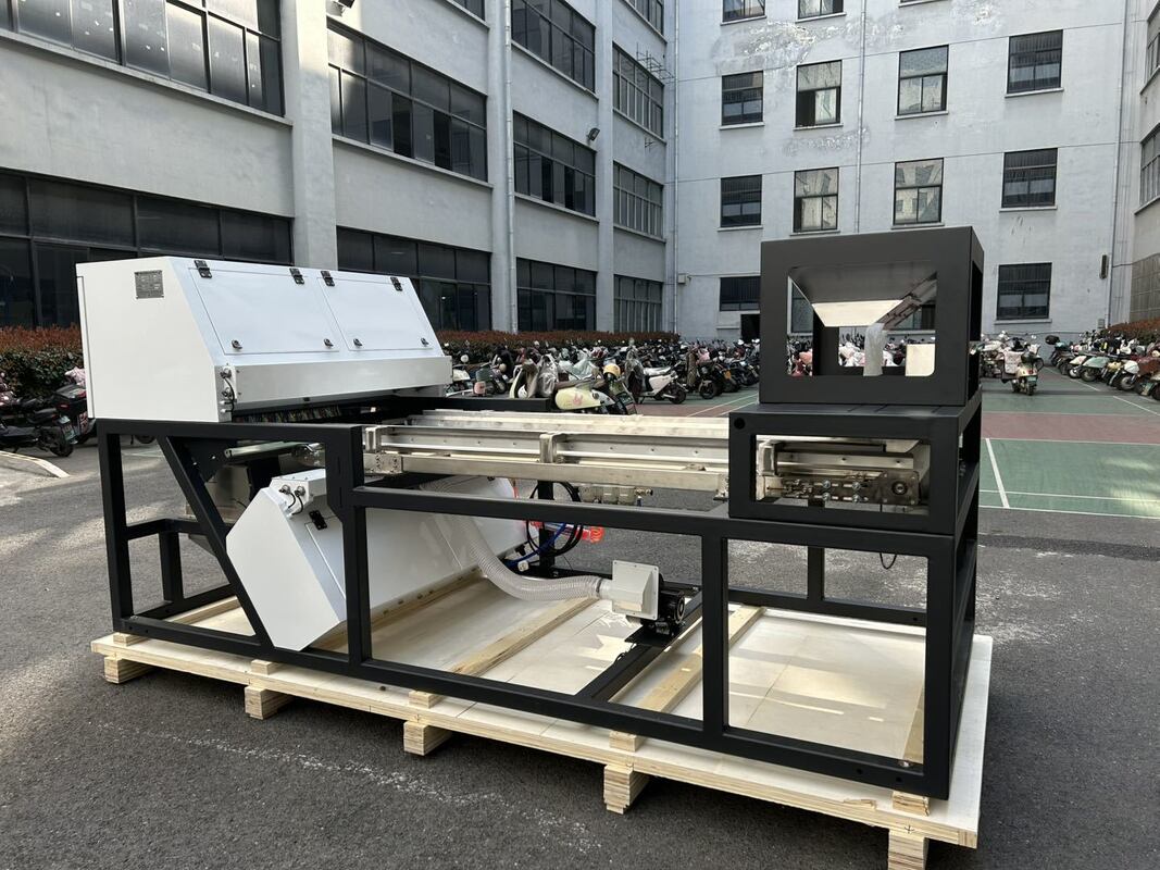 600mmベルト幅 高容量 ジュニパーカラーソーター 乾燥ラズベリー ブルーベリー 穀物選別機