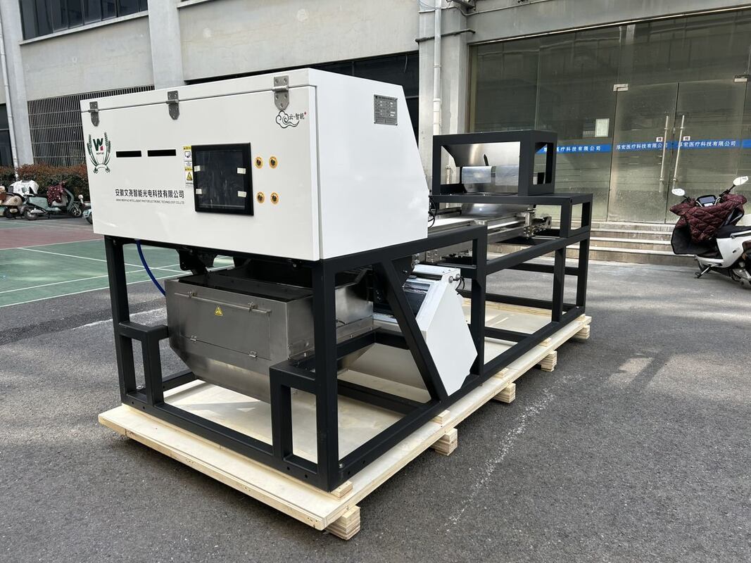 600mmベルト幅 高容量 ジュニパーカラーソーター 乾燥ラズベリー ブルーベリー 穀物選別機