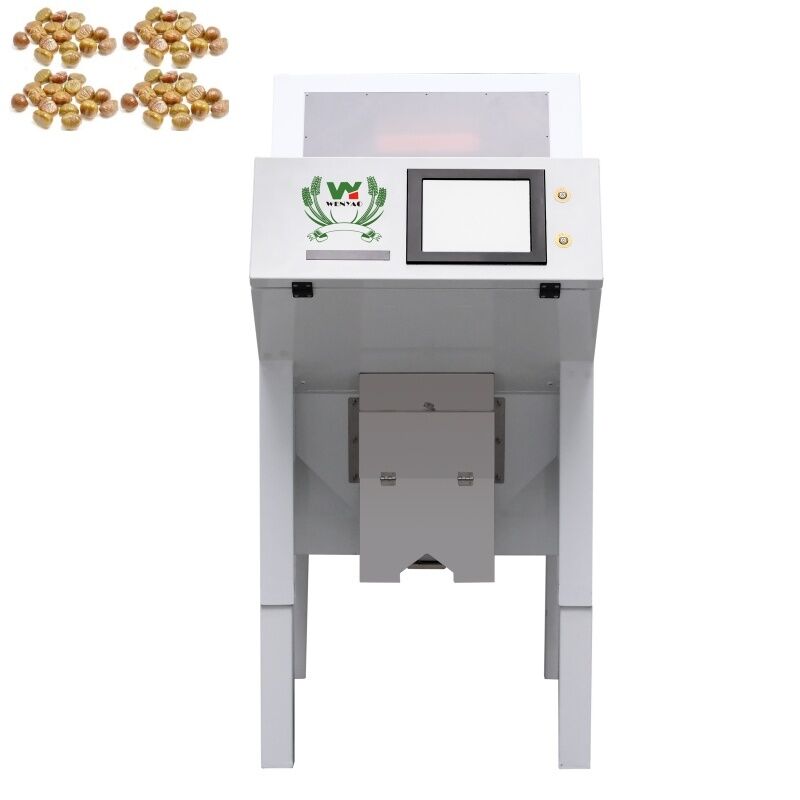 WENYAO 1 チャート 光学色分別機 脱水した乾燥栗子色分別機