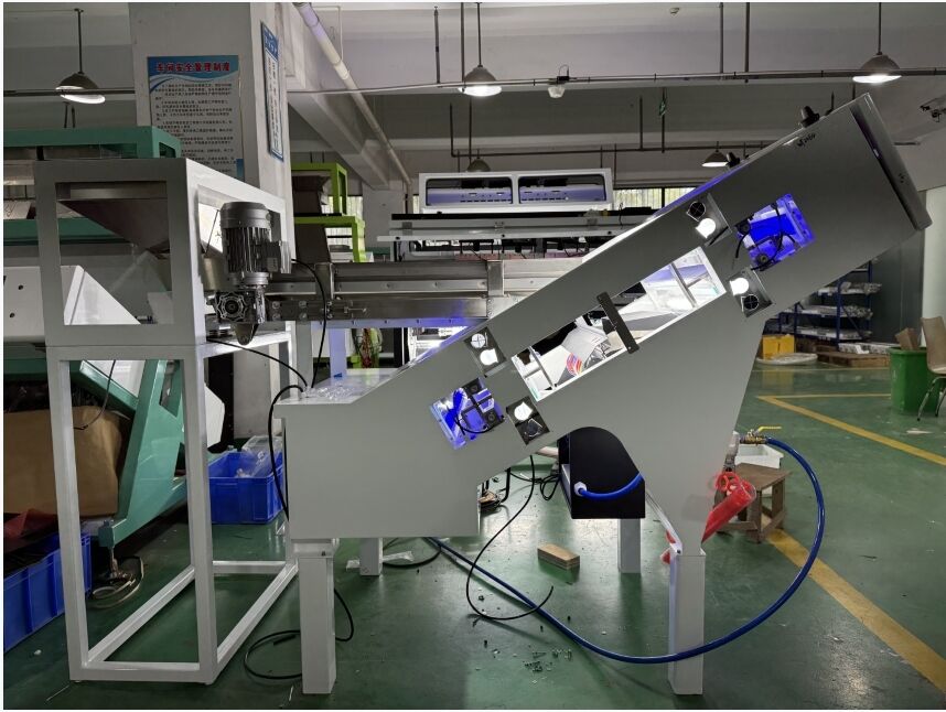 WENYAO 2025 新型ベルト カフェチェリーとクムクワット用 光色ソート機