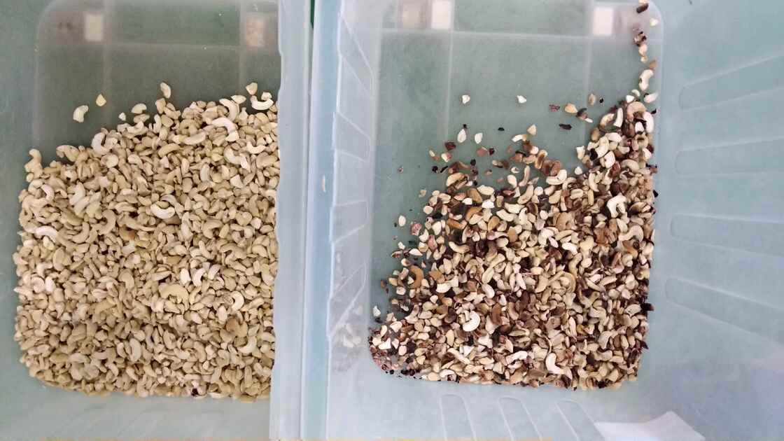 WENYAO 高精度 2 チャネル ナッツ カラーソルター すべての種類のナッツ加工のためのカビ腐った殻不浄を取り除く