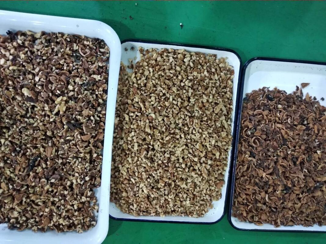 ウェンヤオプロフェッショナルナッツ選別機 カシューナッツ くるみ ビンロウ Color Sorter Machine WIFIリモコン付き