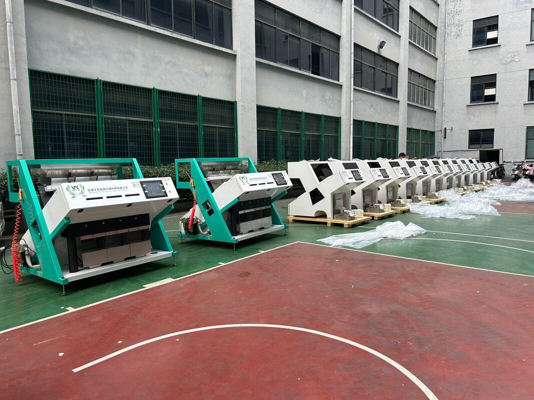 Wenyao ホットセール 光色ソート カフェ豆色ソート機