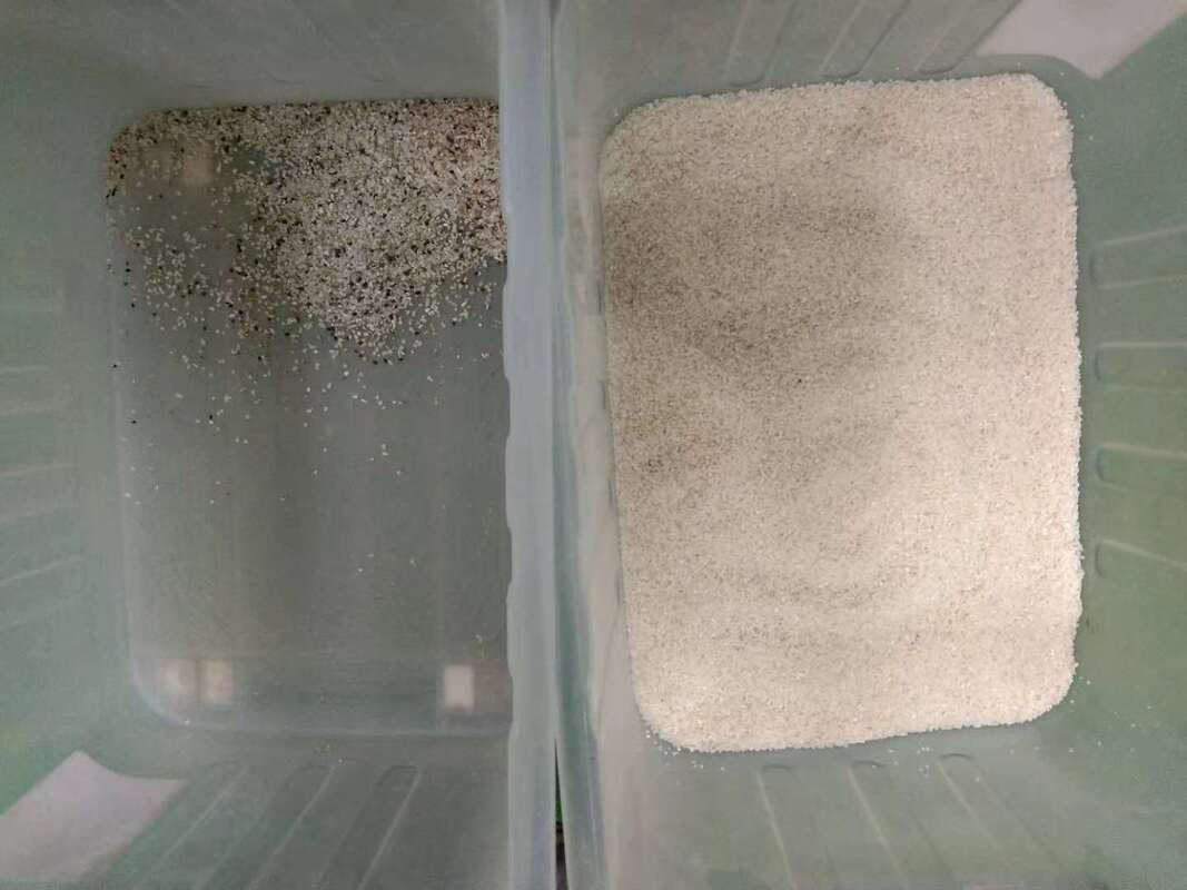 ウェンヤオ 最新のAI学習 農業用色分隔器 クイノア色分別器 稲の粒を掃除する機器 自動光学分別器