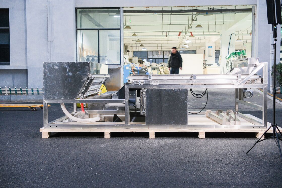 ウェンヤオジュニパーベリーカラーソーターワイドベルトステンレス鋼ブルーベリーストロベリーラズベリーカラー選別機工場価格CE証明書付きリモコン