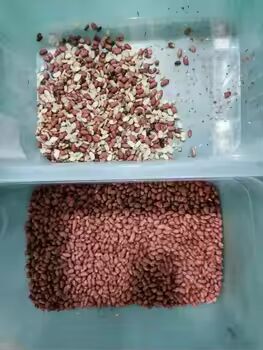 WENYAO Nuts Color Sorter with CCD Cameras 0.3-0.5 PTH Capacity and 2 Years After-service for Seed Grain Beans Wheat