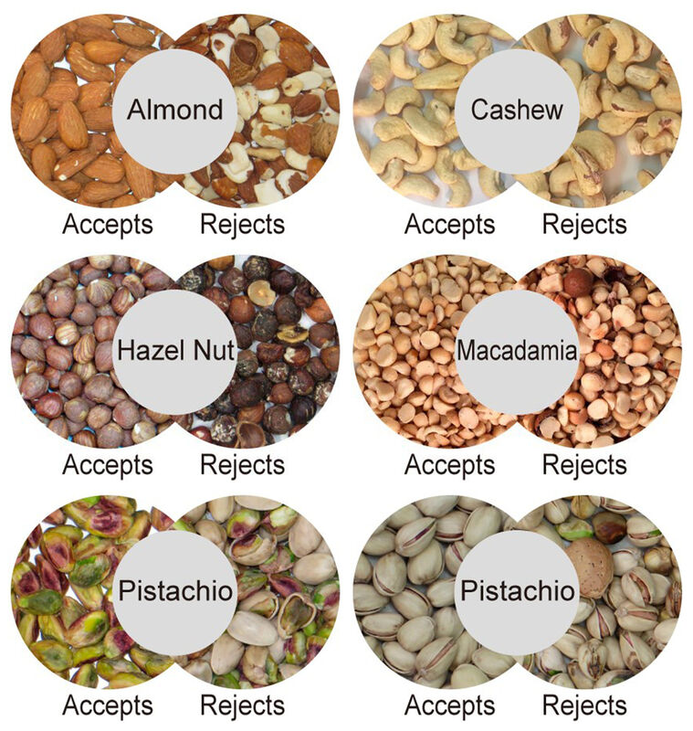 WENYAO マカダミヤナッツの色分け機 2400~4000kg容量と0.999の精度