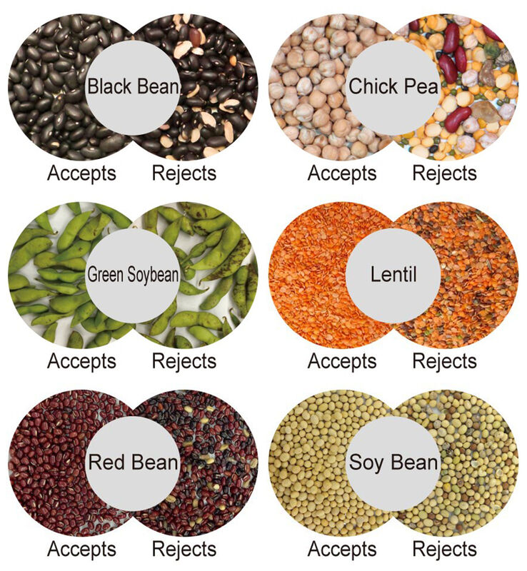 WENYAO CCD Camera AI Nut Color Sorter with Full Color Detection, Stable Operation and ≥99.99% Accuracy for Walnuts