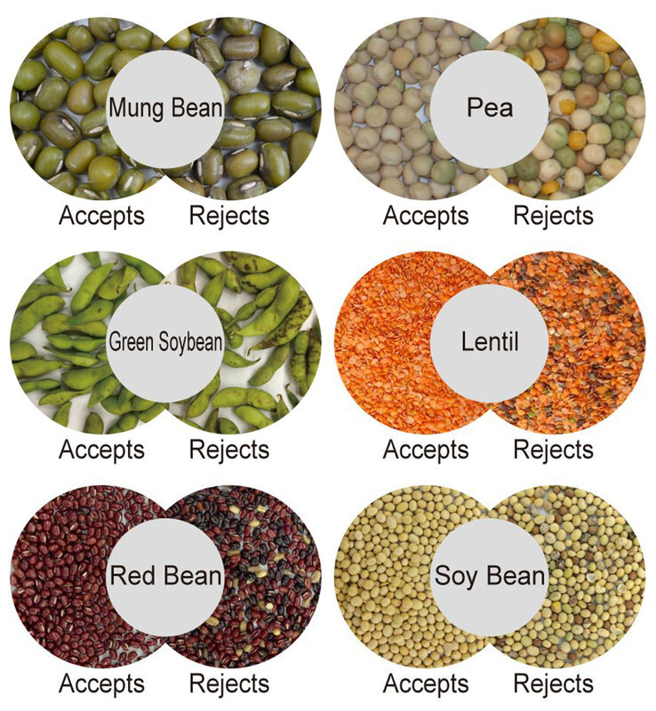 WENYAO CCDカメラ搭載 高速ナッツ選別機 ピーナッツ生産向け 99.99%の高精度