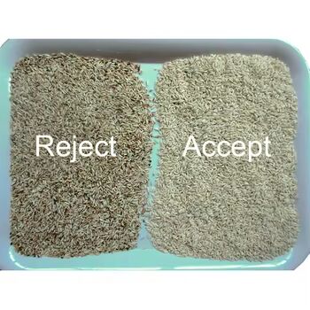 高精度穀物色分別機 (3-8TPH出力) 及び米・小麦・キノア・小麦・小麦粉の分別精度 ≥99.99%