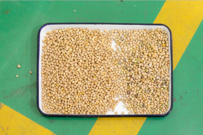 文耀 5 槽智能光学分选机 自动核桃颜色分选机 果仁和壳松子颜色分选机