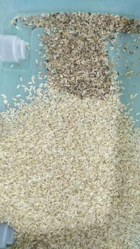 WENYAO インテリジェント4チャート 光学粒色ソート機 高精度で2.-4T/H 容量 米小麦ソート機