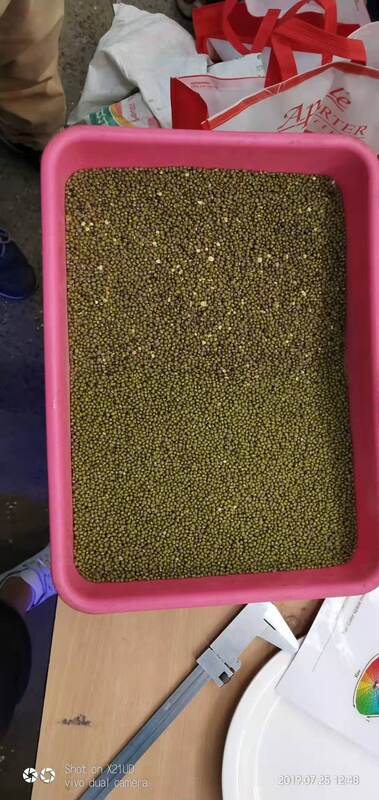 CE 認定自動穀物光学色彩選別機黒豆コーヒー豆レンズ豆色選別機販売 2026