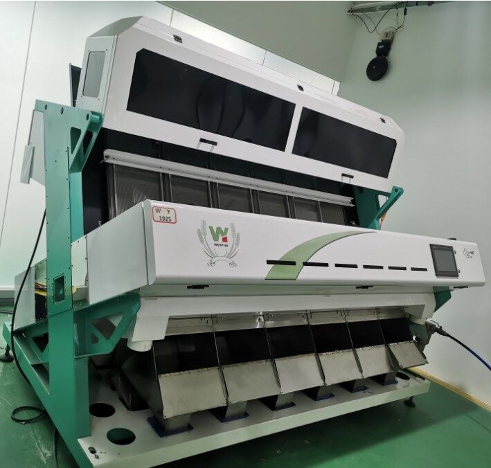 Wenyao AI  Optical Sorting Machine for Nuts Seeds Pumpkin Cashew Almond Peanut Shape Sorter Color Sorter