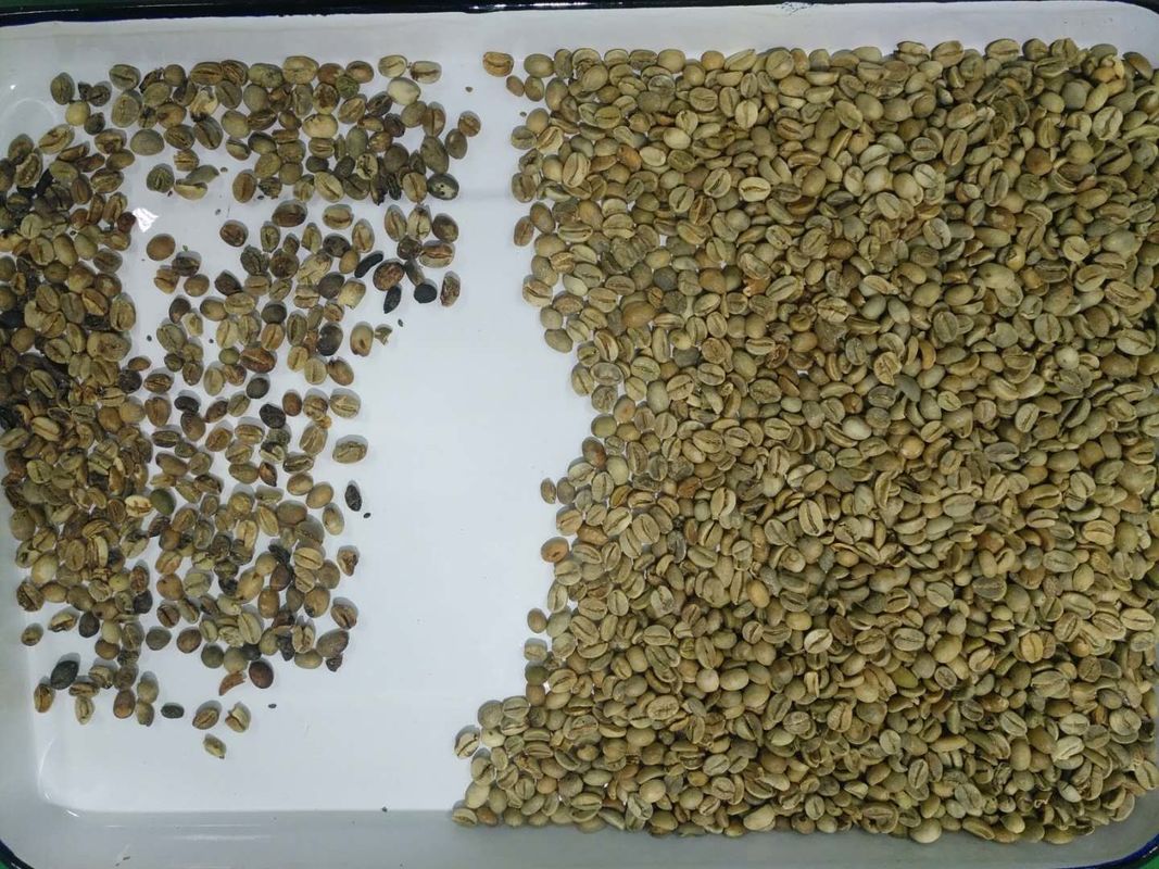 4つのシュート256はリモート・コントロール豆Wifiのためのコーヒー色の選別機機械を運ぶ