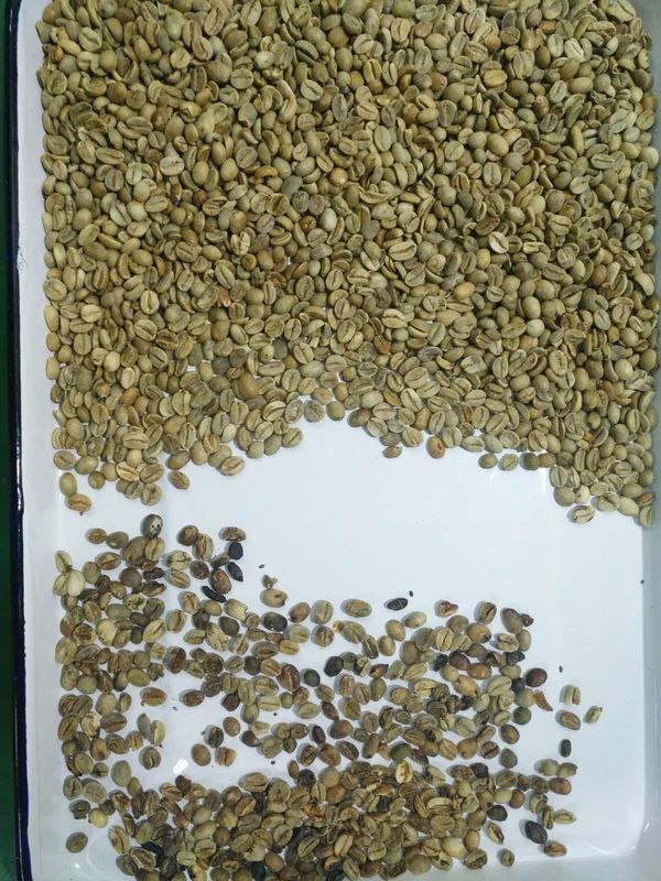 4つのシュート256はリモート・コントロール豆Wifiのためのコーヒー色の選別機機械を運ぶ