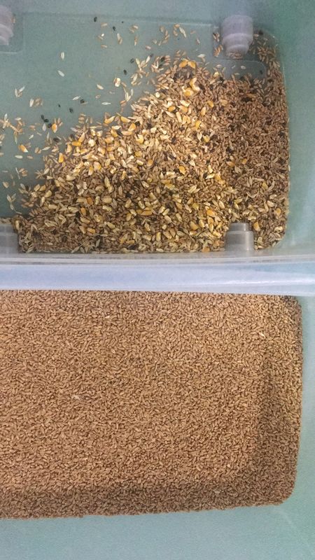 WENYAO LEDライト搭載小麦選別機 10チャンネル 6000-12000kg 消費電力 穀物選別機 小麦 大麦 色彩選別機 同色選別機