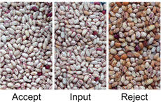 白く赤い腎臓豆はRGB CCDセンサーが付いている選別機の腎臓豆の分類機械を着色する