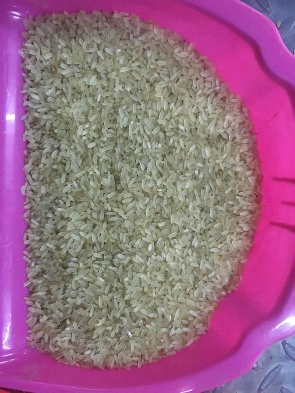 WENAYO米の穀物の豆のプラスチックのための多機能色の選別機機械