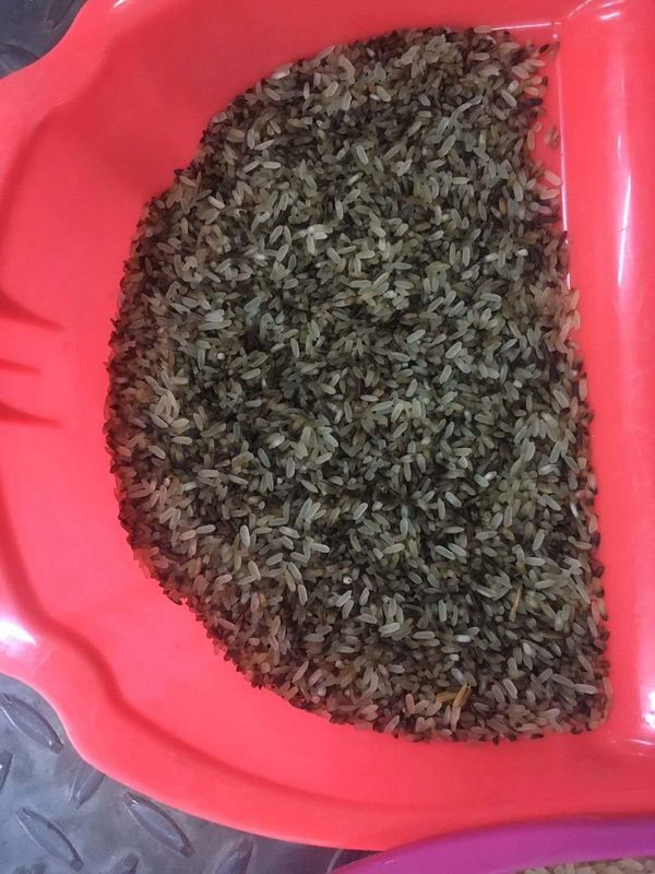 WENAYO米の穀物の豆のプラスチックのための多機能色の選別機機械