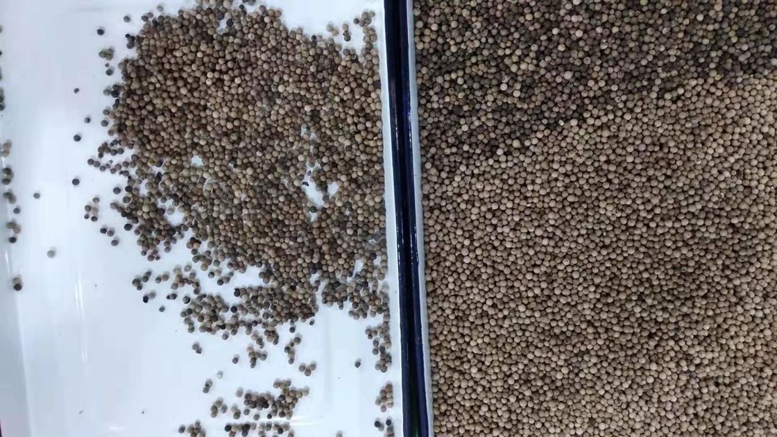 自動CCDの穀物色の選別機、3t/hは分類機械をふりかける