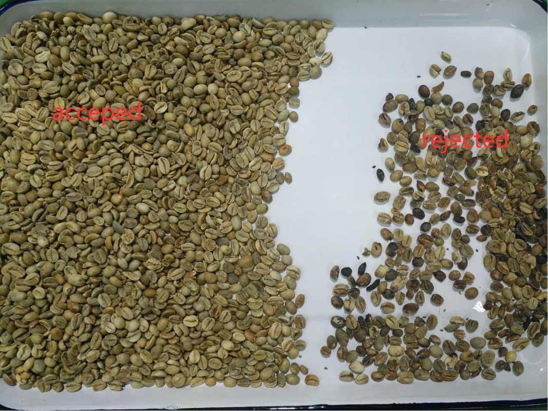 5400のピクセル小型コーヒー豆色の選別機   高精度を使って