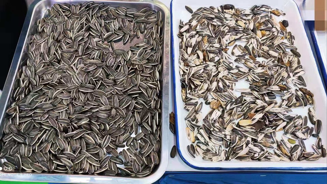 カボチャ種は装置の分類を2つのシュート128のチャネル着色する