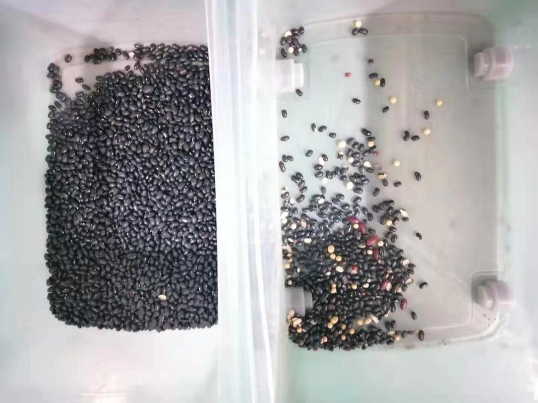 128のチャネル エンドウ豆のムギの穀物のナットの種の豆のための多機能色の選別機